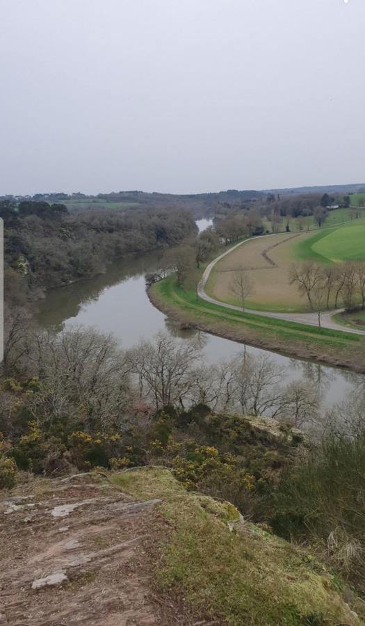 La halte de la vilaine Sainte-Anne-sur-Vilaine Extérieur photo